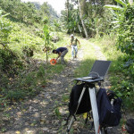 Torito Turrialba Torito Turrialba