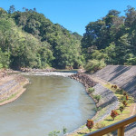 Torito Turrialba Torito Turrialba