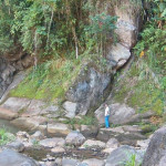 Torito Turrialba Torito Turrialba