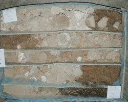 Prospeccion-rellenos Prospeccion-rellenos